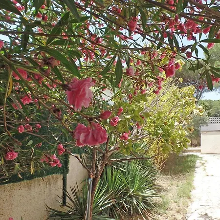 Sonni Villa L' Escala